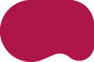 Discover Support Community Services: Who We Are and What We Do. SCS offers a range of services, including Personalized IDD Support, Family-Centered Care, Community Inclusion, and Respite & Relief.